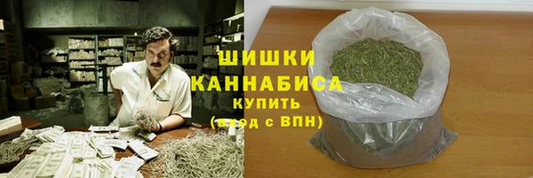 гашик Касимов