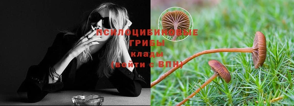 гашик Касимов