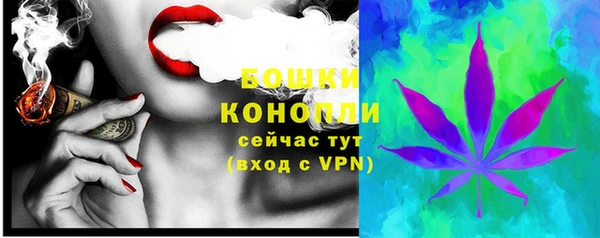 гашик Касимов