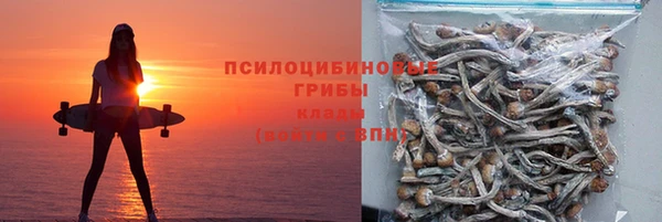 эйфоретик Карпинск