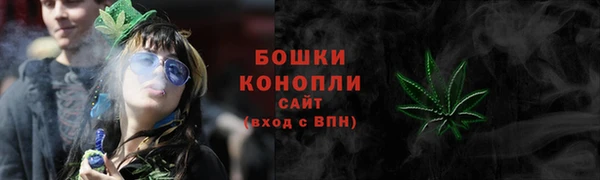 эйфоретик Карпинск