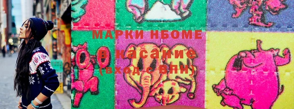 гашик Касимов