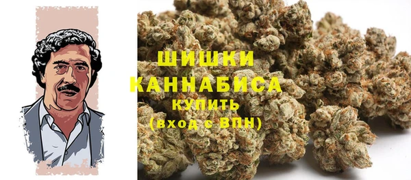 эйфоретик Карпинск