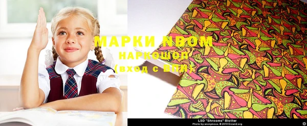 гашик Касимов