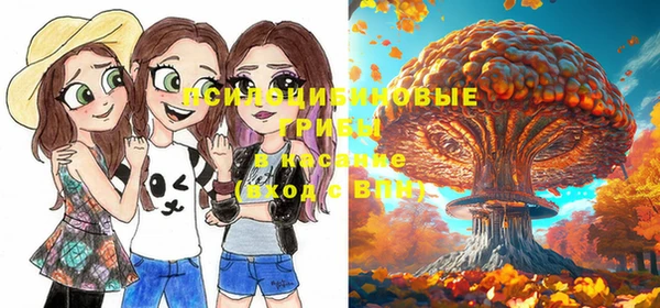 эйфоретик Карпинск