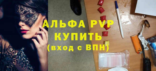 гашик Касимов