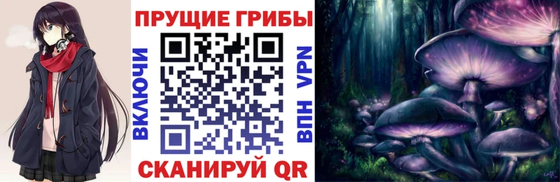 Купить закладки  Тутаев  Псилоцибиновые грибы GOLDEN TEACHER 